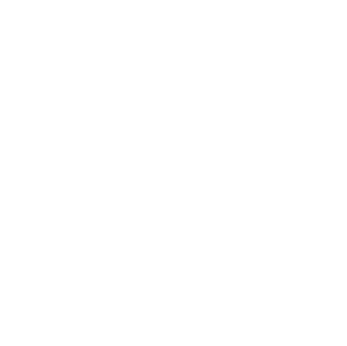 logo flèche